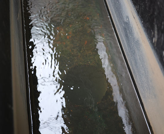 氣浮機(jī)除磷效果好嗎？